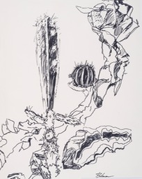 "Desert Forms"