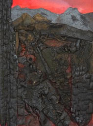 "Embers #2"