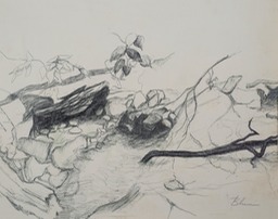 "Ink Study of Crepo Park"