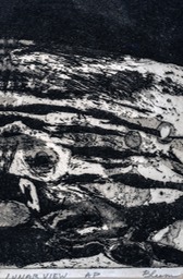 "Lunar View"