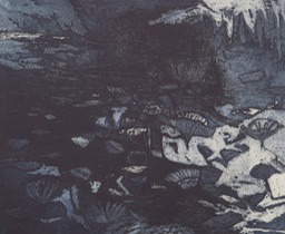 "Nocturnal Water Lilies)