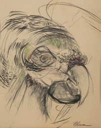 "Parrot"