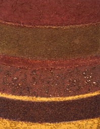"Ring Complex #10"