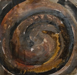"Spiral Galexy"