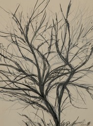 "Winter Tree"
